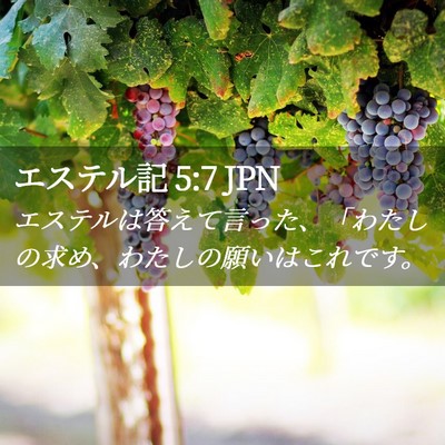Picture 02 - エステル記 5:7 JPN - エステルは答えて言った、「わたし - Bible Verse Picture