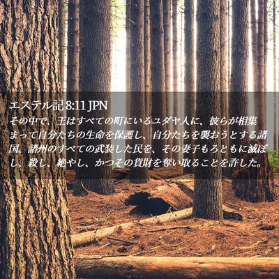 Picture 02 - エステル記 8:11 JPN - その中で、王はすべての町にいるユ - Bible Verse Picture