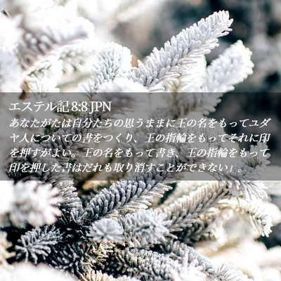 Picture 02 - エステル記 8:8 JPN - あなたがたは自分たちの思うままに - Bible Verse Picture