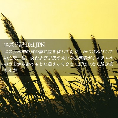 Picture 02 - エズラ記 10:1 JPN - エズラが神の宮の前に泣き伏して祈 - Bible Verse Picture