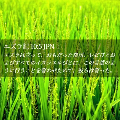 Picture 02 - エズラ記 10:5 JPN - エズラは立って、おもだった祭司、 - Bible Verse Picture