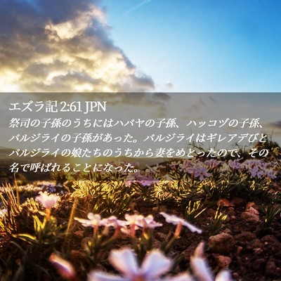 Picture 02 - エズラ記 2:61 JPN - 祭司の子孫のうちにはハバヤの子孫 - Bible Verse Picture
