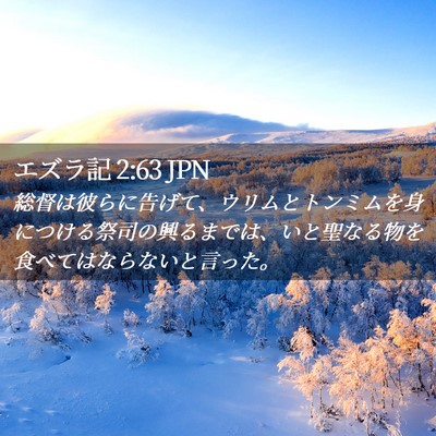 Picture 02 - エズラ記 2:63 JPN - 総督は彼らに告げて、ウリムとトン - Bible Verse Picture