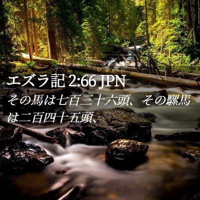 Picture 02 - エズラ記 2:66 JPN - その馬は七百三十六頭、その騾馬は - Bible Verse Picture