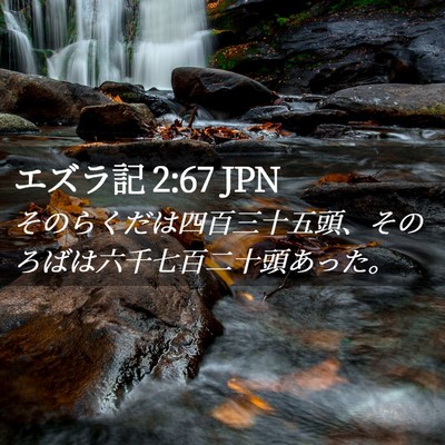 Picture 02 - エズラ記 2:67 JPN - そのらくだは四百三十五頭、そのろ - Bible Verse Picture