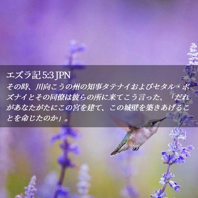 Picture 02 - エズラ記 5:3 JPN - その時、川向こうの州の知事タテナ - Bible Verse Picture