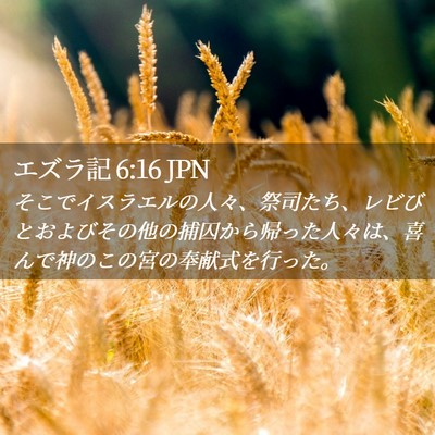 Picture 02 - エズラ記 6:16 JPN - そこでイスラエルの人々、祭司たち - Bible Verse Picture