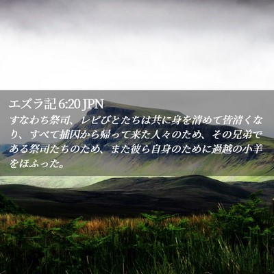 Picture 02 - エズラ記 6:20 JPN - すなわち祭司、レビびとたちは共に - Bible Verse Picture