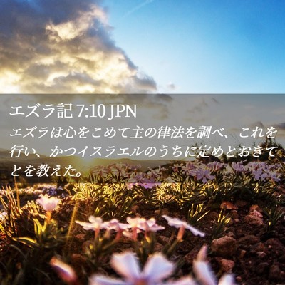 Picture 02 - エズラ記 7:10 JPN - エズラは心をこめて主の律法を調べ - Bible Verse Picture