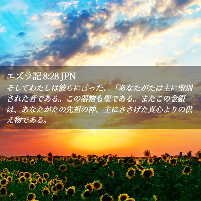 Picture 02 - エズラ記 8:28 JPN - そしてわたしは彼らに言った、「あ - Bible Verse Picture