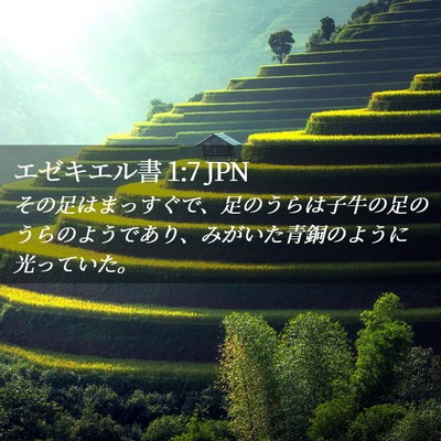 Picture 02 - エゼキエル書 1:7 JPN - その足はまっすぐで、足のうらは子 - Bible Verse Picture