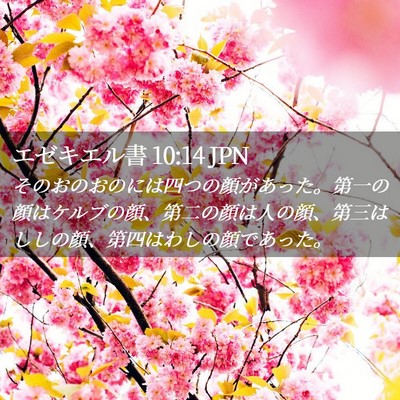 Picture 02 - エゼキエル書 10:14 JPN - そのおのおのには四つの顔があった - Bible Verse Picture
