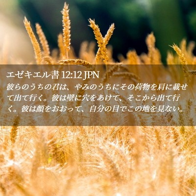 Picture 02 - エゼキエル書 12:12 JPN - 彼らのうちの君は、やみのうちにそ - Bible Verse Picture