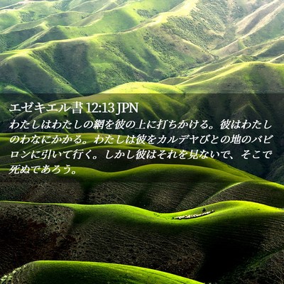 Picture 02 - エゼキエル書 12:13 JPN - わたしはわたしの網を彼の上に打ち - Bible Verse Picture