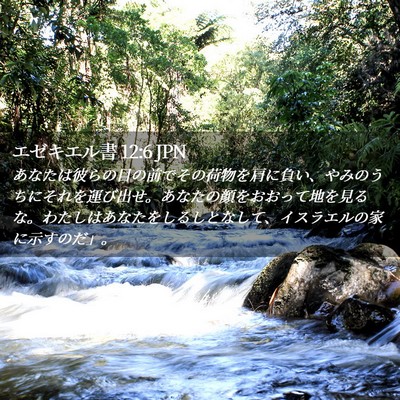 Picture 02 - エゼキエル書 12:6 JPN - あなたは彼らの目の前でその荷物を - Bible Verse Picture
