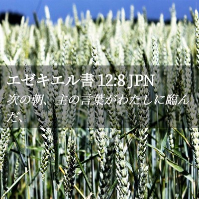 Picture 02 - エゼキエル書 12:8 JPN - 次の朝、主の言葉がわたしに臨んだ - Bible Verse Picture