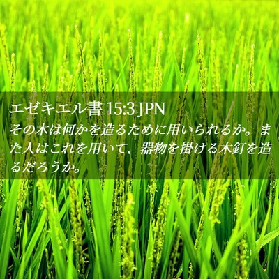 Picture 02 - エゼキエル書 15:3 JPN - その木は何かを造るために用いられ - Bible Verse Picture