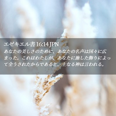 Picture 02 - エゼキエル書 16:14 JPN - あなたの美しさのために、あなたの - Bible Verse Picture