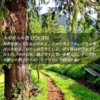 Picture 02 - エゼキエル書 17:16 JPN - 契約を破ってなおのがれることがで - Bible Verse Picture