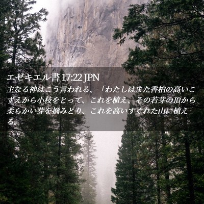 Picture 02 - エゼキエル書 17:22 JPN - 主なる神はこう言われる、「わたし - Bible Verse Picture