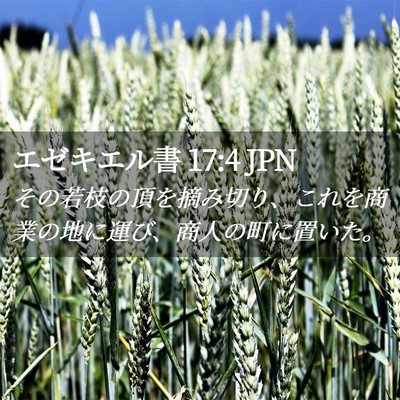 Picture 02 - エゼキエル書 17:4 JPN - その若枝の頂を摘み切り、これを商 - Bible Verse Picture