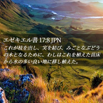 Picture 02 - エゼキエル書 17:8 JPN - これが枝を出し、実を結び、みごと - Bible Verse Picture