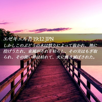 Picture 02 - エゼキエル書 19:12 JPN - しかしこのぶどうの木は憤りによっ - Bible Verse Picture