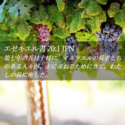 Picture 02 - エゼキエル書 20:1 JPN - 第七年の五月十日に、イスラエルの - Bible Verse Picture
