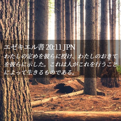 Picture 02 - エゼキエル書 20:11 JPN - わたしの定めを彼らに授け、わたし - Bible Verse Picture