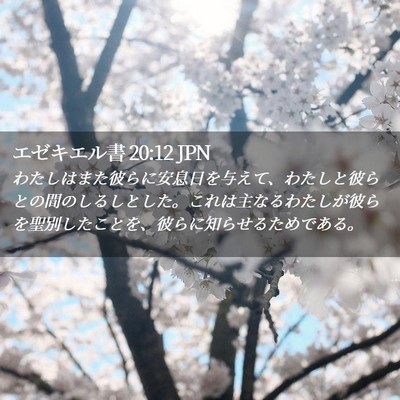 Picture 02 - エゼキエル書 20:12 JPN - わたしはまた彼らに安息日を与えて - Bible Verse Picture