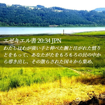 Picture 02 - エゼキエル書 20:34 JPN - わたしはわが強い手と伸べた腕と注 - Bible Verse Picture