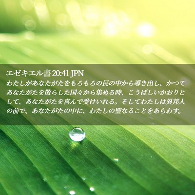 Picture 02 - エゼキエル書 20:41 JPN - わたしがあなたがたをもろもろの民 - Bible Verse Picture