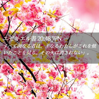 Picture 02 - エゼキエル書 20:48 JPN - すべて肉なる者は、主なるわたしが - Bible Verse Picture