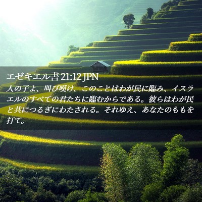 Picture 02 - エゼキエル書 21:12 JPN - 人の子よ、叫び嘆け、このことはわ - Bible Verse Picture