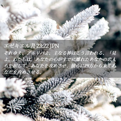 Picture 02 - エゼキエル書 23:22 JPN - それゆえ、アホリバよ、主なる神は - Bible Verse Picture