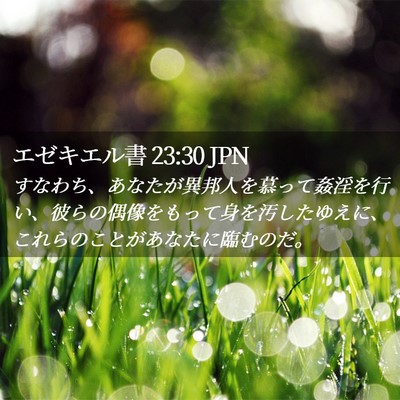 Picture 02 - エゼキエル書 23:30 JPN - すなわち、あなたが異邦人を慕って - Bible Verse Picture