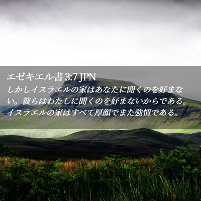 Picture 02 - エゼキエル書 3:7 JPN - しかしイスラエルの家はあなたに聞 - Bible Verse Picture