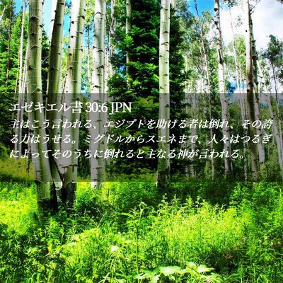 Picture 02 - エゼキエル書 30:6 JPN - 主はこう言われる、エジプトを助け - Bible Verse Picture