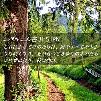 Picture 02 - エゼキエル書 31:5 JPN - これによってそのたけは、野のすべ - Bible Verse Picture