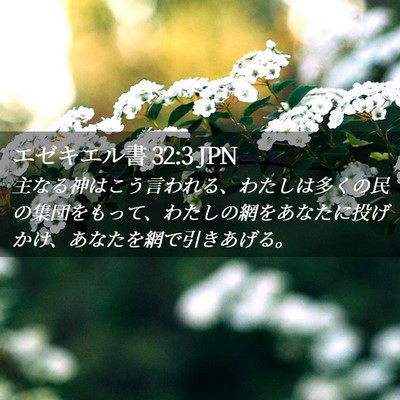 Picture 02 - エゼキエル書 32:3 JPN - 主なる神はこう言われる、わたしは - Bible Verse Picture