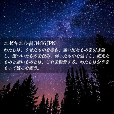 Picture 02 - エゼキエル書 34:16 JPN - わたしは、うせたものを尋ね、迷い - Bible Verse Picture