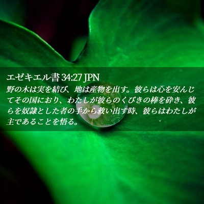 Picture 02 - エゼキエル書 34:27 JPN - 野の木は実を結び、地は産物を出す - Bible Verse Picture