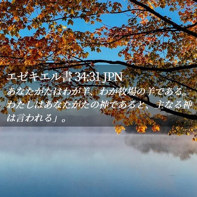 Picture 02 - エゼキエル書 34:31 JPN - あなたがたはわが羊、わが牧場の羊 - Bible Verse Picture