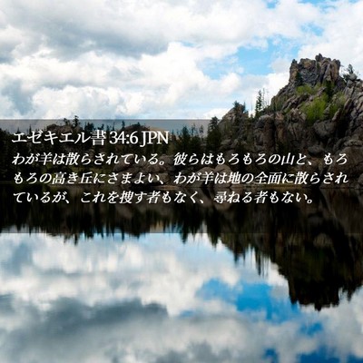 Picture 02 - エゼキエル書 34:6 JPN - わが羊は散らされている。彼らはも - Bible Verse Picture