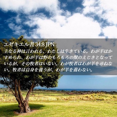Picture 02 - エゼキエル書 34:8 JPN - 主なる神は言われる、わたしは生き - Bible Verse Picture