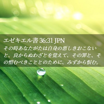 Picture 02 - エゼキエル書 36:31 JPN - その時あなたがたは自身の悪しきお - Bible Verse Picture