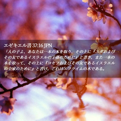 Picture 02 - エゼキエル書 37:16 JPN - 「人の子よ、あなたは一本の木を取 - Bible Verse Picture