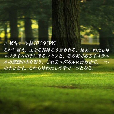 Picture 02 - エゼキエル書 37:19 JPN - これに言え、主なる神はこう言われ - Bible Verse Picture