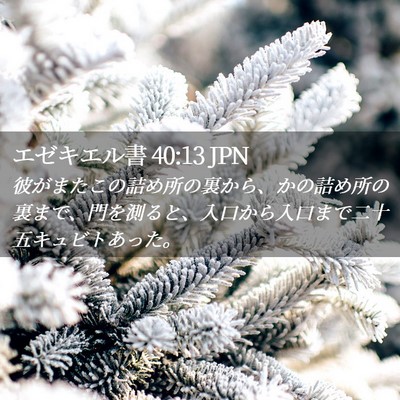 Picture 02 - エゼキエル書 40:13 JPN - 彼がまたこの詰め所の裏から、かの - Bible Verse Picture