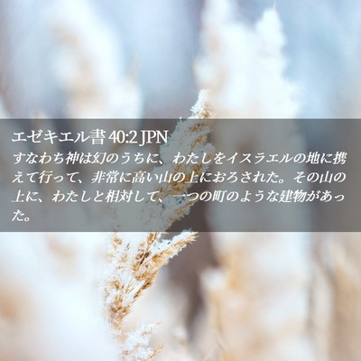 Picture 02 - エゼキエル書 40:2 JPN - すなわち神は幻のうちに、わたしを - Bible Verse Picture